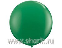 1109-0018 5,5' (165см) Зеленый