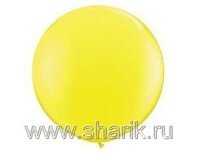 1109-0039 8' (250см) Желтый