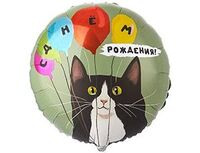 1202-4259 К 18" РУС ДР Кот и воздушные шары