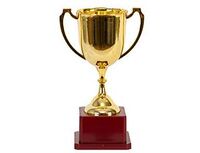1507-1723 Кубок чемпиона 19см/G